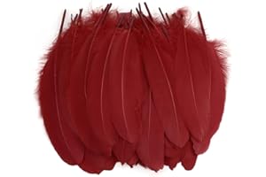 MWOOT Plumas de Ganso, 50pcs Natural Plumas para Manualidades Decoración para Disfraces Hats, Hogar Bricolaje, Ropa Casa Fiesta (Accesorio de Disfraz)-Rojo
