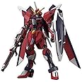 GUNDAM - HG 1/144 Immortal Justice Gundam - Model Kit