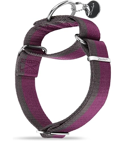 Dazzber Martingal Halsband Für Hunde – Einstellbar, Weich, 2,5 Cm Breit, Größe M In Warmem Grau