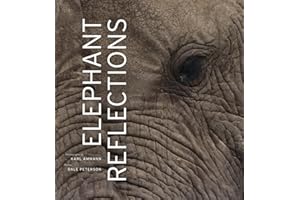 Elephant Reflections
