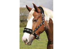 Rhinegold Logo Licol en Polaire