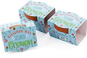 Bull & Bear 3er Set Mini-Pflanzset `Bisschen was zum Freuen´, Blumensamen im Topf 4,5cm, bunte Blumen als Anzuchtset mit Pflegeanleitung