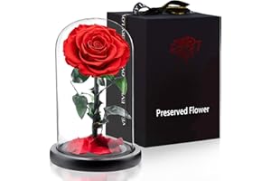 APKOL Rosa Eterna Bajo una Cúpula de Cristal, Rosa Eterna Natural Preservada, Flor Eterna, San Valentin Regalos Mujer, Regalos para Madres,Regalo Novia,Regalos para Mujer Navidad,Rojo