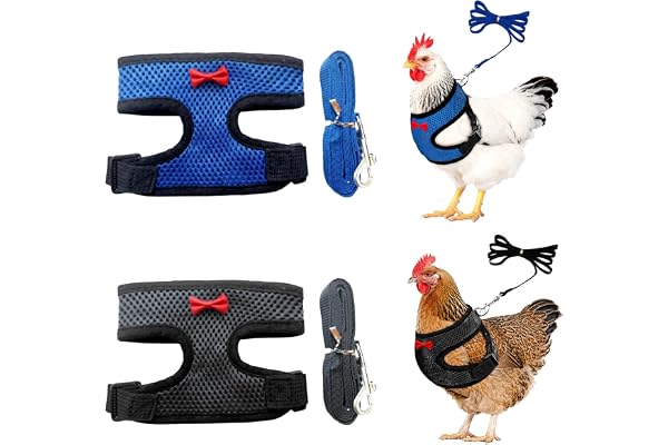 Yphzmtz 2 stycken kycklingsele med koppel, justerbar kycklingvarningsväst, nättyg design kaninlina, kycklingsadel för kycklin