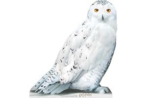 STAR CUTOUTS Hedwig SC1476, sagoma in Cartone a grandezza Naturale di Harry a grandezza Naturale, Divertente per i Fan di Potter, Altezza 74 cm, Tinta Unita, Regolare