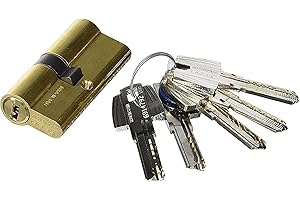 TESA ASSA ABLOY Tesa Seguridad T60 - Cilindro de llave plana reversible, Latonado, 30x30 mm