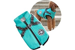 Oncpcare Hundejacke für kleine Hunde mit Hundegeschirr, Outdoorjacke, warme Winterjacke für Katzen, Welpen und kleine Hunde, Blaugrün
