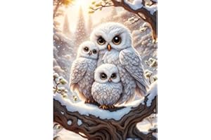 luckyarina Eule Malen Nach Zahlen Kinder ab 5 6 7 8 9 10 Jahre Mädchen-Eulen Malen Nach Zahlen für Kinder,DIY Handgemalt Ölgemälde Set für Anfänger mit als Geschenk Home Wand Décor 30x40cm