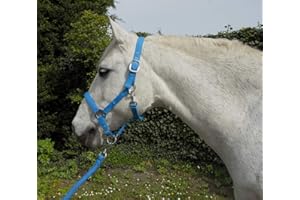 Rhinegold Carnival Headcollar & Matching Rope Set