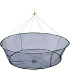 Klappbarer Kescher 60x60cm - Fischnetz Für Köderfische Und Garnelen