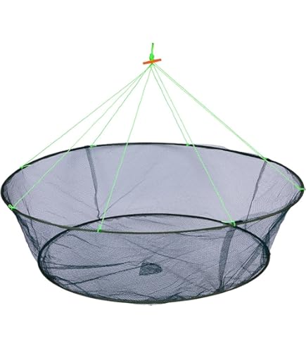 JENZI Köderfisch-Reuse 60x30 Cm - Zusammenklappbar Für Angler