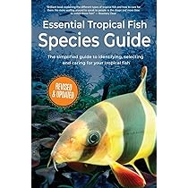 Buy 500 Freshwater Aquarium Fish: A Visual Reference to the Most