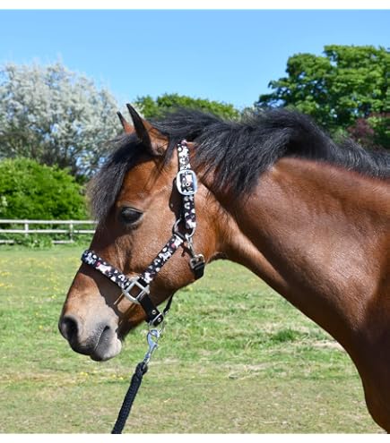 Set Testiera E Cavezza Per Cavallo Shetland Ruggles | Nylon Regolabile Ottone