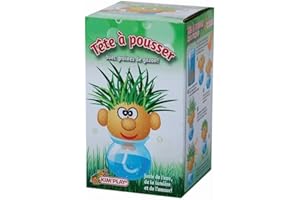 Kim'Play Tete A Pousser avec Graine DE Gazon 8 X 8 CM Jouet