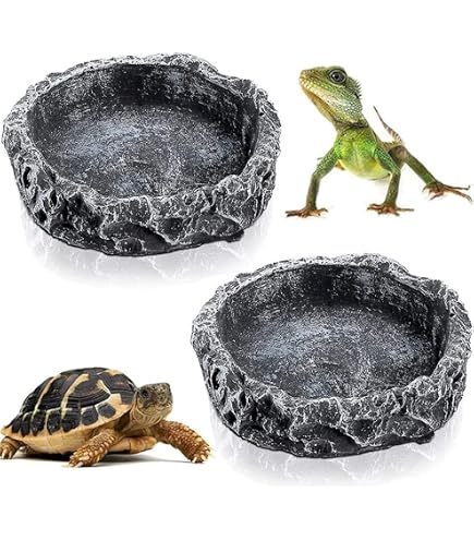 Plateau D’alimentation Pour Reptiles Avec Ventouses - 5 Bols Amovibles Pour Gecko, Lézard, Tortue - Nourriture Et Eau