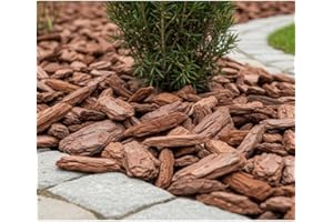 TODOSTONES Corteza de Pino para decoración (40/60 mm) (20 L (3 kg))