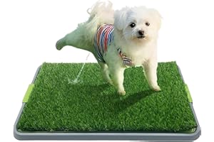 BUITHAFU Vassoio WC per cani con tappetino lavabile per pipì e erba artificiale per addestramento di cani cuccioli, lettiera portatile per cani da interno
