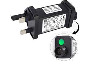 CubePlug 31V6W /4.5W /3.6W Transformer for CZJUTAI JT-EL/FC31V6W /4.5W /3.6W with 8 Modes, Memory & 6 Hour Timer, for Christmas Tree Lights with multifunction botton (6W) [W56T]