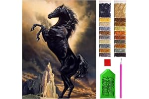 ARTULIO Diamond Painting Set – Stolzer schwarzer Hengst - 30x40 cm – 5D Diamant Painting Bilder DIY, Diamond Painting Erwachsene
