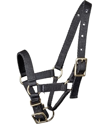 Lamas Kerbl Alpaca Cinghia Collo KERBL Per Lama E Alpaca - Taglia 50 Blu Con Testa Centrale E Grande Cinghia Collo Cavallo - 7