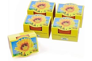 Bull & Bear 5er Set Mini-Pflanzset Zwergsonnenblumen, Blumensamen im Topf 4,5cm, Mini Sonnenblumen als Anzuchtset mit Pflegeanleitung