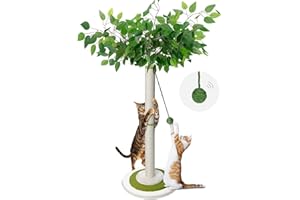 Zvonema Rascador para gatos con columna rascador de 80 cm, para gatos pequeños y grandes, cuerda de sisal con 1 bolas interactivas, para actividades en interiores, juego