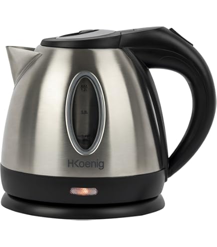 Bouilloire électrique Portable 800ML - Mini Bouilloire De Voyage En Inox 800W, Bouilloire Rapide Pour Thé, Café, Lait, Nouilles