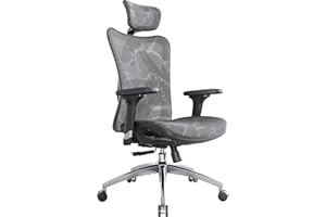 SIHOO con Morbido Supporto Lombare Sedia Ergonomica,Sedia Ergonomica in Traspirante Mesh,Sedie da Ufficio con Braccioli Regolabili 3D,Sedie Ufficio con Poggiatesta Regolabile(Grigio)