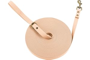 Wisedog Longe pour Chien - Laisse de Dressage de Style Classique Vintage Sable 10 m