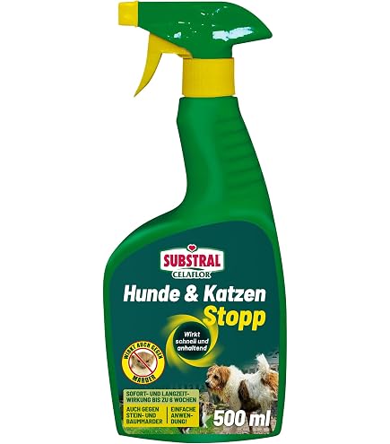 kartoffel annabelle saatgut Bioland Frühkartoffel Annabelle – Biolandhof Scharein main image 1
