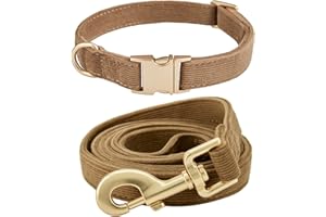 YUDOTE Hundehalsband und Leine Set Klein, Weiche Reizfreie Cord-Halsband-Leine Passende Combo für Den Täglichen Spaziergang, Braun