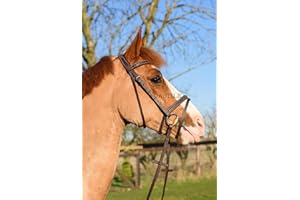Astile Equestrian Leather Comfort Horse Bridle With Flash Noseband Hand Stitched Design Black Brown (PONY, BROWN)