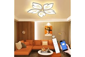 TETIPA Plafonnier LED APP à intensité variable - Lampe de salon - Lampe de chambre à coucher avec télécommande - Changement de couleur - Plafonnier moderne à économie d'énergie - Éclairage de plafond pour