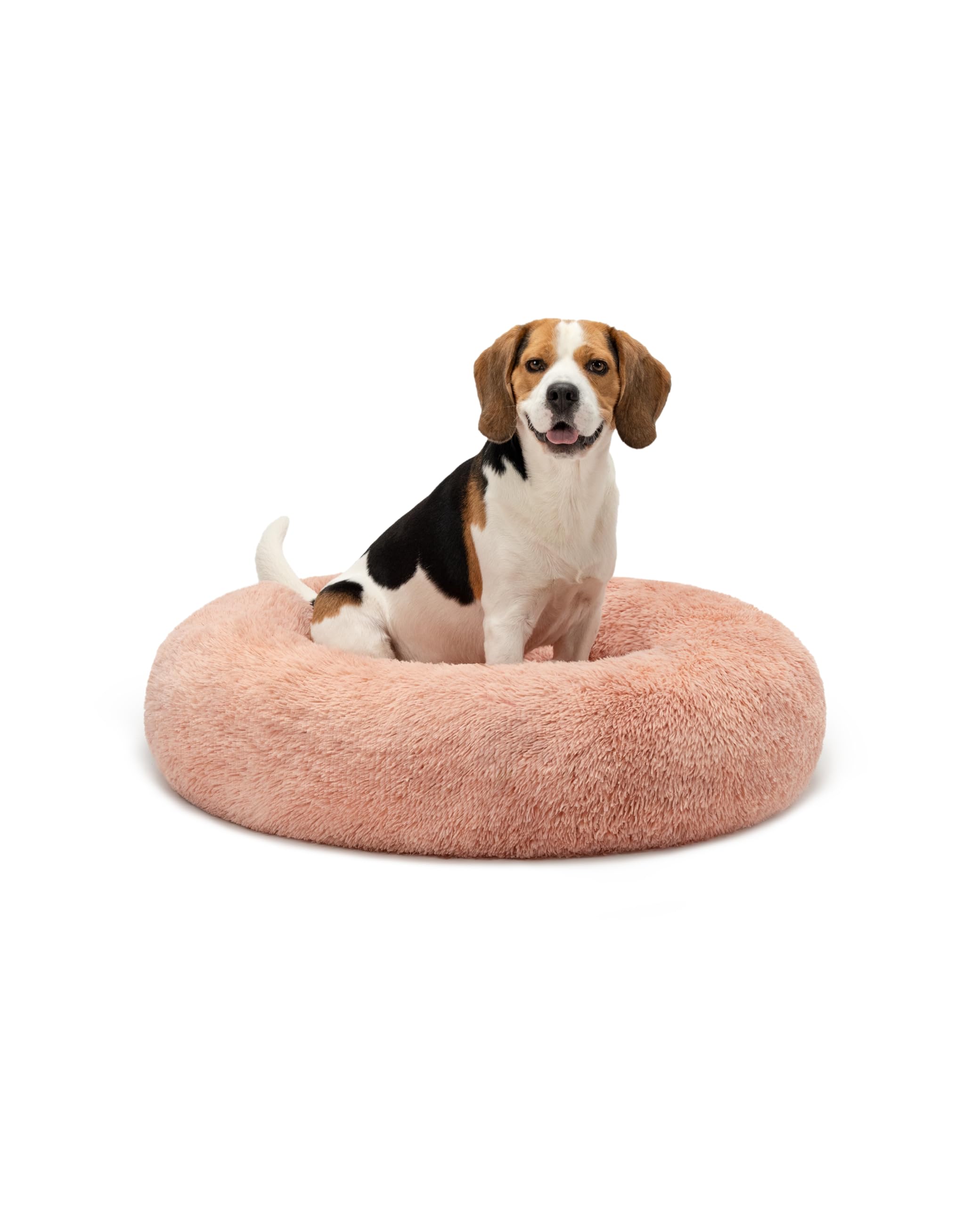 lionto Cama Tipo Donut para Perros y Gatos, Cama Redonda mullida para Mascotas pequeñas y Grandes, Ø 80 cm, cojín Suave de Felpa esponjosa con Relleno Extra Grueso, Rosa