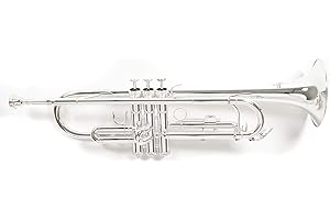 Roy Benson Bb Trompete MOD.TR-202S versilbert, inkl. Etui