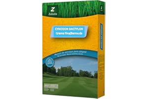 CYNODON DACTYLON ZULUETA Prato Mediterraneo Grammatura fine 1 kg