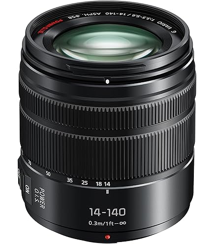 Panasonic LUMIX high magnification zoom lens Micro Four Thirds G