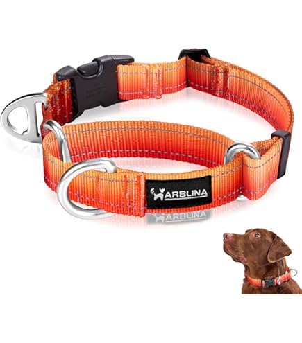 Zugstopp Halsband Hunde Weich Gepolstert 4cm breit Robuster Zugstopp fr  maximale Sicherheit bequemes Halsband leicht & elegant (max. 44cm Hals-  50cm Kopfumfang) : Amazon.de: Haustier