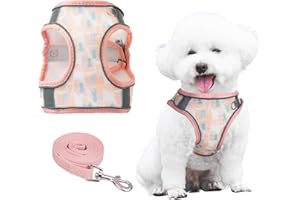 PawSailor Harnais pour Chien avec Laisse, Anti-Traction, Anti-Fuite, avec Imprimé Floral, Facile à Marcher, Respirant Mesh Réfléchissant, Réglable Harnais pour Petits Chiens, Chats, Corail S