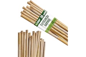 GROWMANIA.ES Control Garden Pack 30 Unità Tutor in Bambù Ecologico da 60 cm | Palo Naturale Canna Fissare Piante ø 6-8 | Aste Alberi, Verdure, Rampicanti e Colture