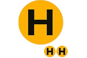 FRAVAST® Pegatina Vehículo Histórico Homologada Interior/Exterior + PDF de Regalo con 15 Coches Clásicos | Distintivo Vehículo Histórico Reflectante | 60mm de diámetro