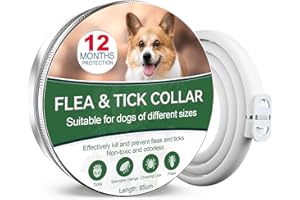 PAISTELY Collare Antiparassitario Per Cani, Antipulci Sicuro E Composto Da Oli Essenziali Naturali Al 100%, Efficacia 12 Mesi 65cm Antizecche Per Tutte Le Taglie (1pack)