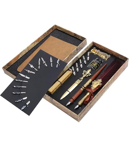 Penna stilografica vintage in acciaio inossidabile con piuma nera