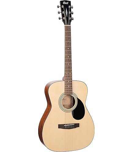 Cort AD810OP Akustik Gitar - Open Pore : Amazon.com.tr: Müzik