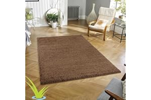 Wadan 60x110cm Mocha Small Large Shaggy Rug Modern Rugs Living Room Extra Large Small Medium Rectangular Size Soft Touch Thick Pile Living Room Area Rugs Non Shedding