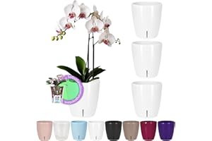 Santino ORCHIDEA Lot de 4 Pots à Orchidée avec Système de Mèche et Indicateur de Niveau d'eau (Diamètre: 15 cm, 2 L, Blanc)