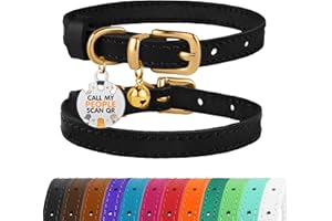 BRONZEDOG Collier pour Chat en Cuir avec Médaille QR-ID Amovible – Collier pour Chaton avec Grelots, Non-Anti-Étranglement, pour Femelles & Mâles (Noir & Or, 18-22 cm)