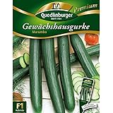 Quedlinburger Gewächshaus-Gurke 'Marumba', 1 Tüte Samen
