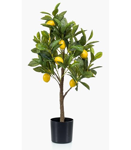 ORANGER ARTIFICIEL TÊTE 14 FRUITS arbre artificiel avec des belles oranges