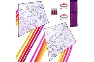 Lot de 2 dragons pour enfants - Kit de bricolage - Dragon d'avion pour enfants - Kit de bricolage - Avec 8 feutres et 2 laisses - Jeu de plein air, garçons et filles